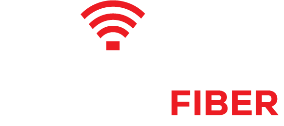 BrainNET Logo